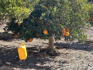 Casa rural en venta en Águilas ciudad en Águilas