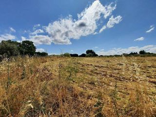 Solar en venta en Escalona