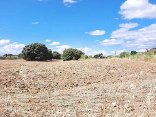 Solar en venta en Escalona