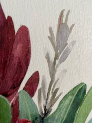 Cuadro moderno en acuarela botánica flores