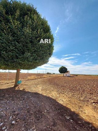 Terreno en venta en Pozuelo de Calatrava