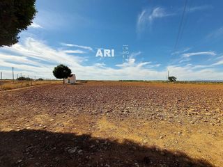 Terreno en venta en Pozuelo de Calatrava