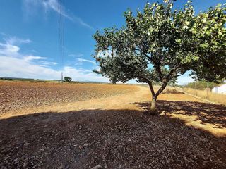 Terreno en venta en Pozuelo de Calatrava