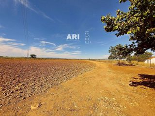 Terreno en venta en Pozuelo de Calatrava