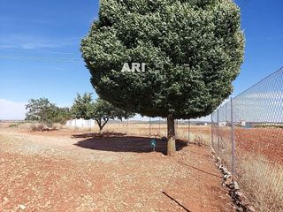 Terreno en venta en Pozuelo de Calatrava