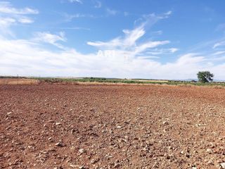 Terreno en venta en Pozuelo de Calatrava