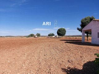 Terreno en venta en Pozuelo de Calatrava