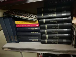 Colecciones de revistas de ajedrez: Revista intern