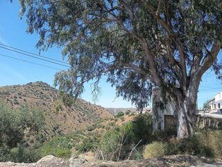 Terreno en venta en Canillas de Aceituno