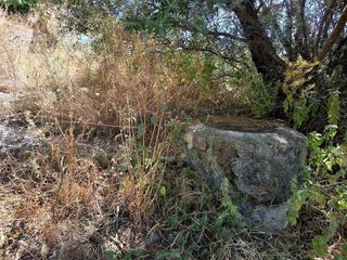 Terreno en venta en Canillas de Aceituno