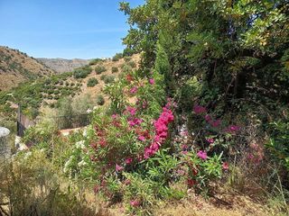 Terreno en venta en Canillas de Aceituno