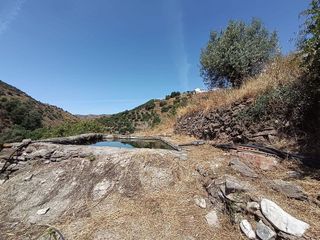 Terreno en venta en Canillas de Aceituno