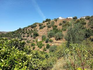 Terreno en venta en Canillas de Aceituno