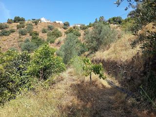 Terreno en venta en Canillas de Aceituno