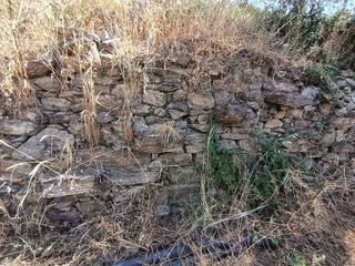 Terreno en venta en Canillas de Aceituno