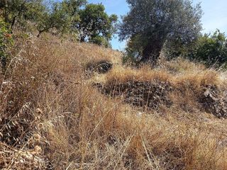 Terreno en venta en Canillas de Aceituno