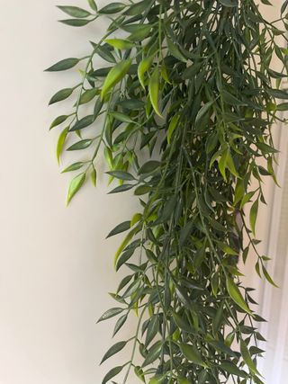 Planta colgante artificial verde