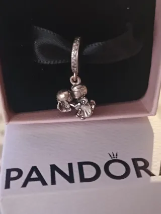 Charm Pandora