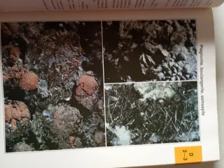 Enciclopedia sui minerali