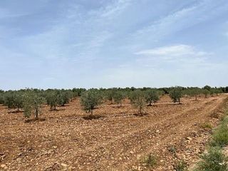 Terreno en venta en Carlota (La)