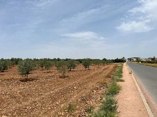 Terreno en venta en Carlota (La)