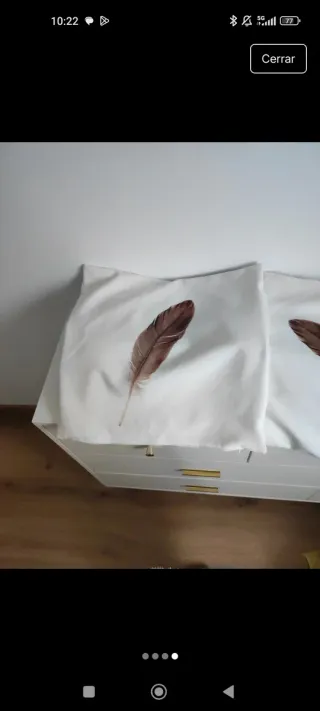 Fundas de cojín con plumas