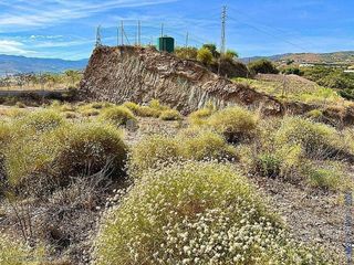 Terreno en venta en Camino Algarrobo - Las Arenas en Vélez-Málaga
