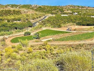 Terreno en venta en Camino Algarrobo - Las Arenas en Vélez-Málaga
