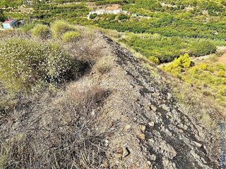 Terreno en venta en Camino Algarrobo - Las Arenas en Vélez-Málaga
