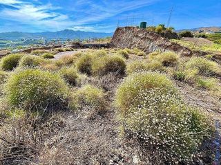 Terreno en venta en Camino Algarrobo - Las Arenas en Vélez-Málaga