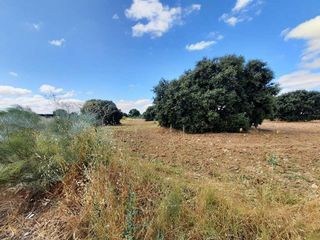 Solar en venta en Escalona