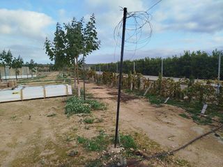 Terreno en alquiler en Godelleta