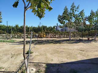 Terreno en alquiler en Godelleta