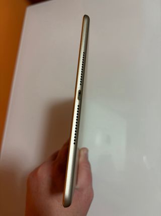 iPad Air 2 Oro