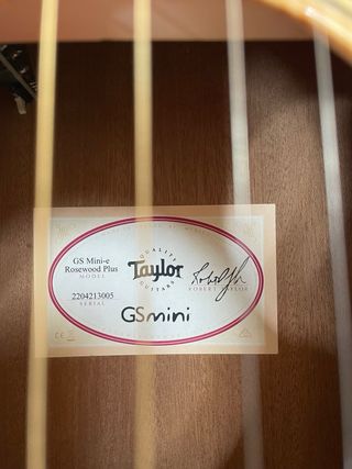 Taylor GS Mini-e Rosewood Plus Guitarra Acústica