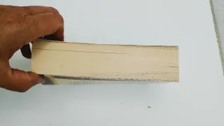 Palmeras en la nieve (NF Novela) (Spanish Edition)