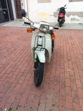 Honda Scoopy 74