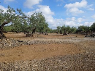 Casa rural en venta en Camarles