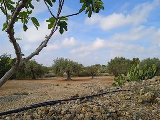 Casa rural en venta en Camarles