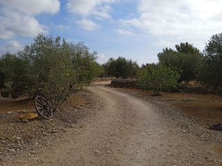 Casa rural en venta en Camarles