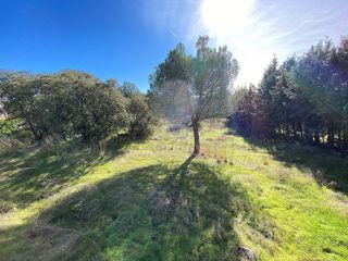 Terreno en venta en Alpedrete
