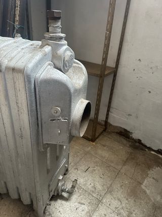 Caldera leña/carbón hierro fundido