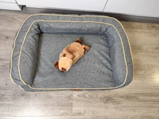 Cama para perro mediano