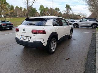 Citroën C4 Cactus BlueHDi Feel 100cv