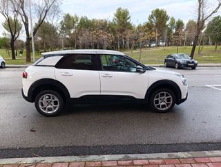 Citroën C4 Cactus BlueHDi Feel 100cv