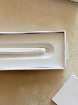 Apple Pencil 2ª Gen