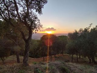 Terreno en venta en Argentona