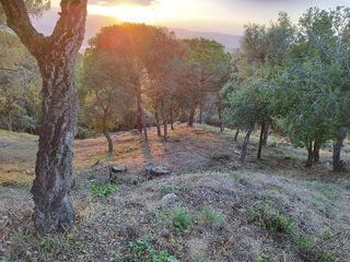 Terreno en venta en Argentona