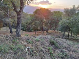 Terreno en venta en Argentona