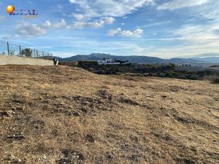 Terreno en venta en Zubia (La)